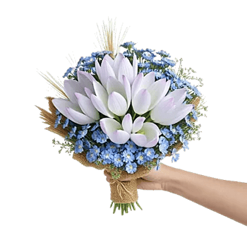 Blossom Petal Serenity