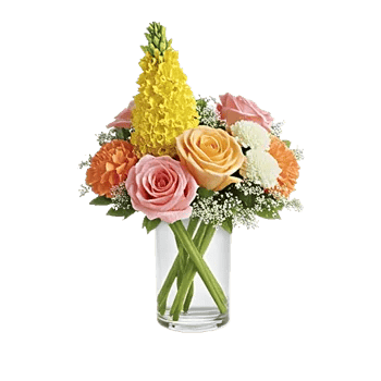 Petal Radiance Bliss