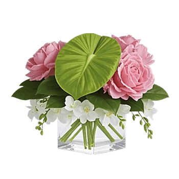 Modern White Orchids