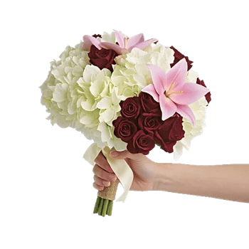 Serene Petal Harmony