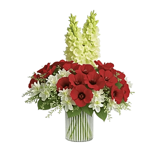 Ivory Blossom Radiance