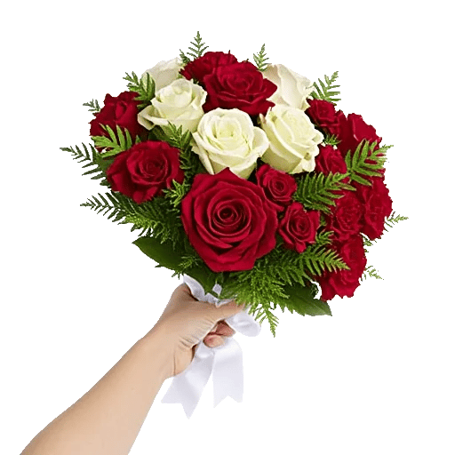 Crimson Rose Elegance