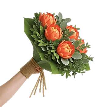 Delicate Petal Cascade