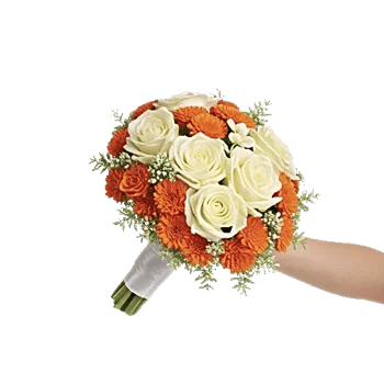 Ivory Garden Grace