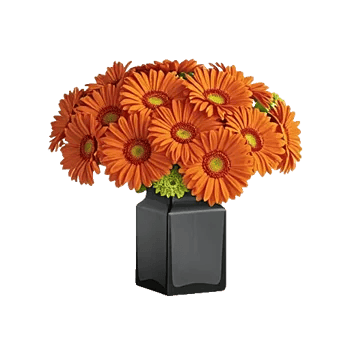 Petal Radiance Bliss