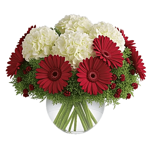 Petal Radiance Bliss