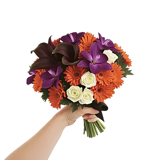 Elegant Calla Lilies