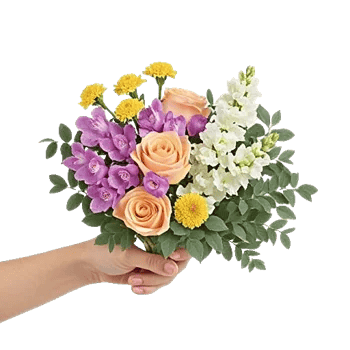 Blossom Harmony Display