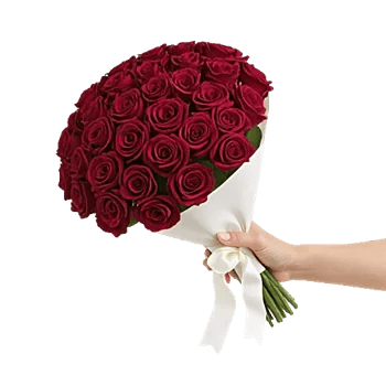 Crimson Rose Elegance