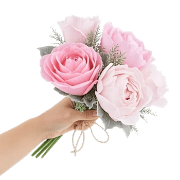 Pastel Pink Roses