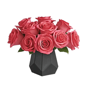 Radiant Rose Symphony