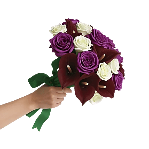 Blushing Rose Symphony