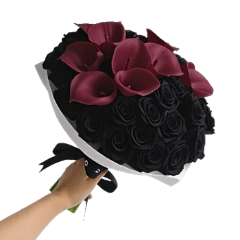 Elegant Calla Lilies