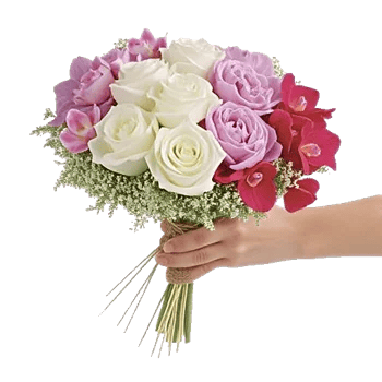 Petal Grace Harmony