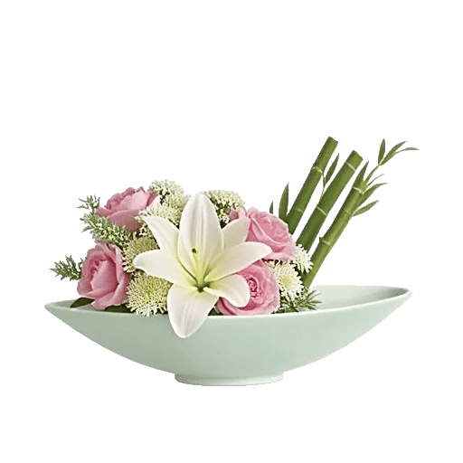 Ivory Blossom Radiance