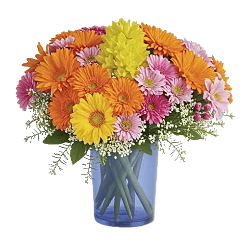 Ivory Blossom Radiance