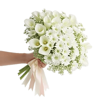 Delicate Petal Cascade