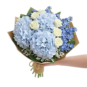 Serene Petal Harmony