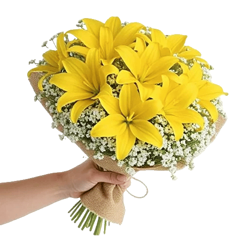 Blossom Harmony Display