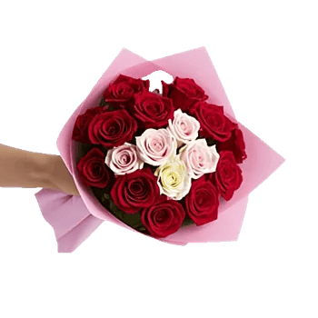 Crimson Rose Elegance