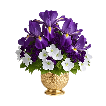 Opal Orchid Delight
