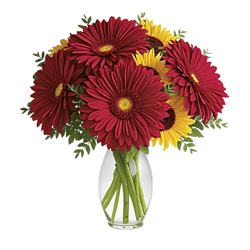Crimson Blossom Harmony