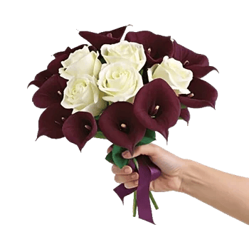 Elegant Calla Lilies