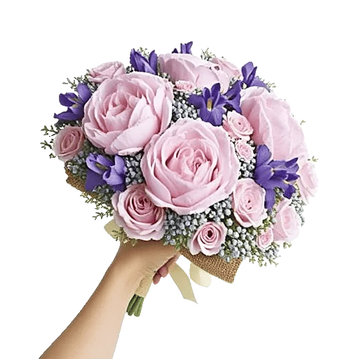 Peony Petal Harmony