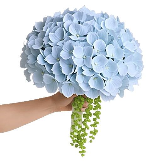 Delicate Petal Cascade