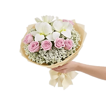 Ivory Garden Grace