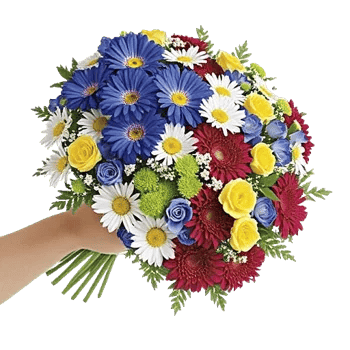 Blossom Petal Serenity