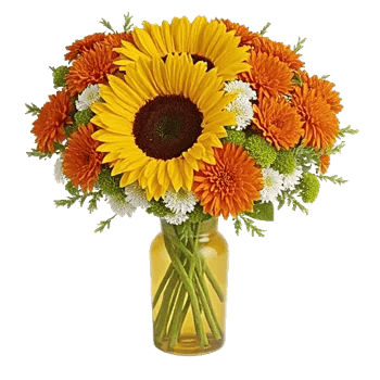 Radiant Bloom Cascade