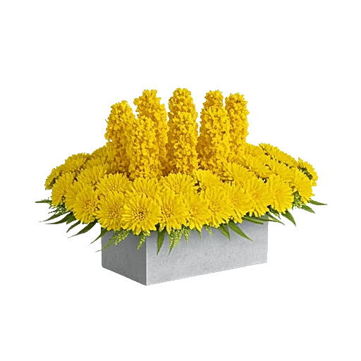 Radiant Bloom Cascade