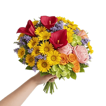 Elegant Calla Lilies