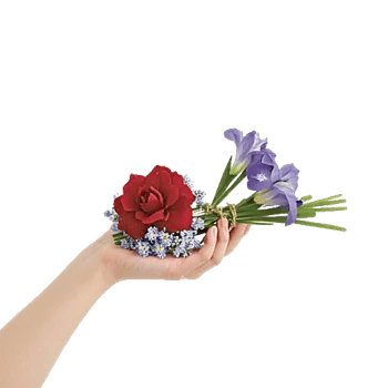 Elegant Calla Lilies