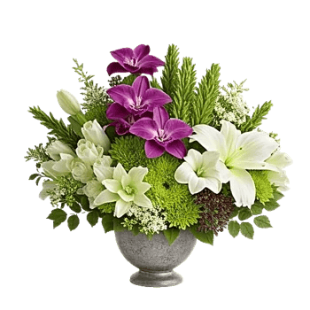 Modern White Orchids