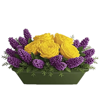 Delicate Petal Cascade