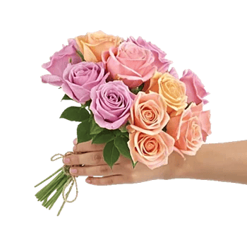 Rose Garden Splendor