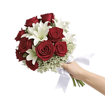 Crimson Rose Elegance