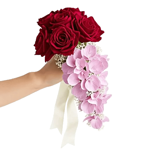 Delicate Petal Cascade