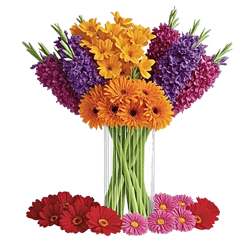 Petal Radiance Bliss