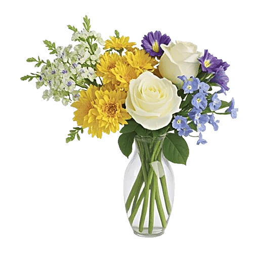 Blooming Serenity Display