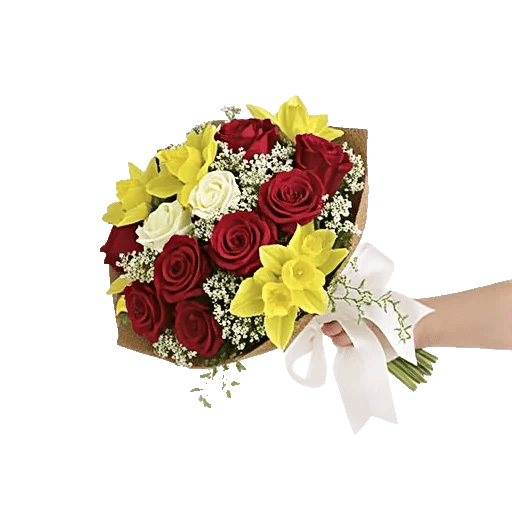 Crimson Rose Elegance