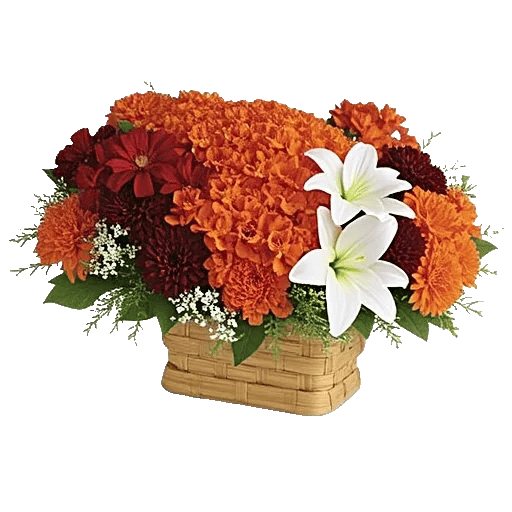 Petal Radiance Bliss