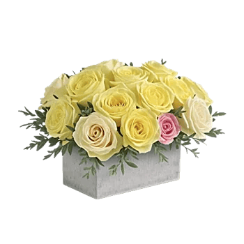 Delicate Petal Cascade