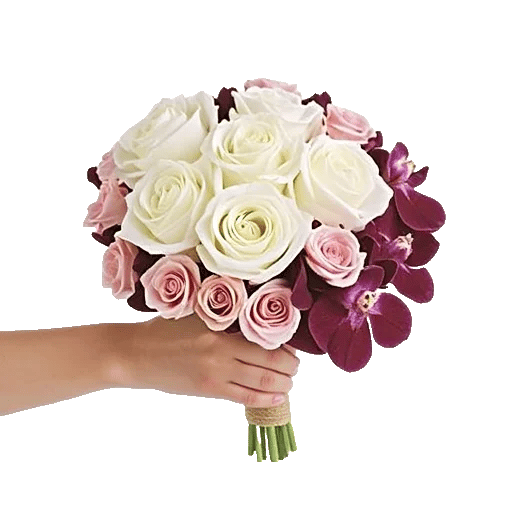 Blushing Rose Symphony