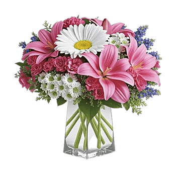 Ivory Blossom Radiance