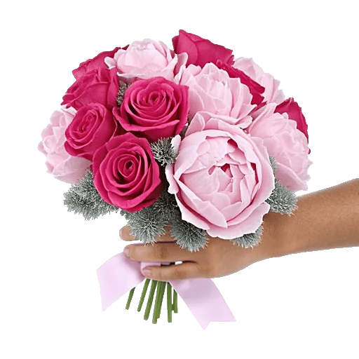Pastel Pink Roses
