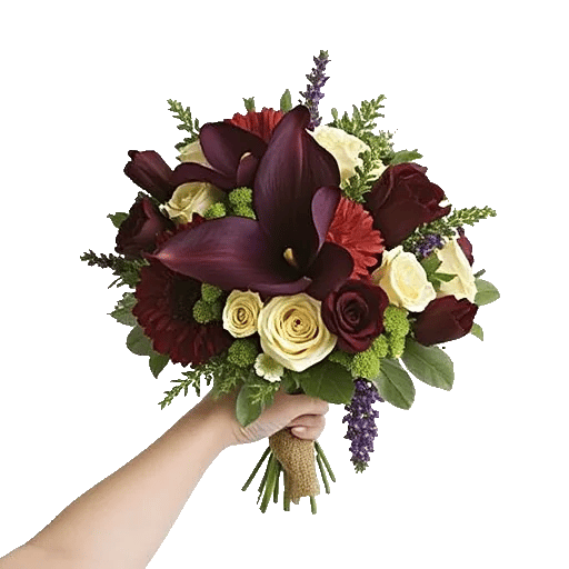 Elegant Calla Lilies