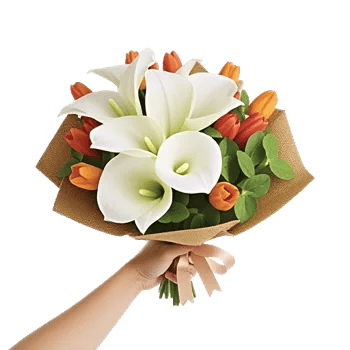 Elegant Calla Lilies